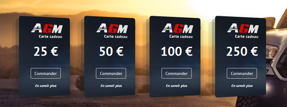 1. AGM Vision gift cards: the freedom to choose