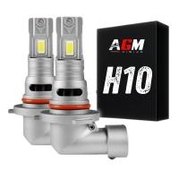 Ampoule H10 LED