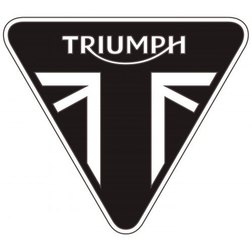 TRIUMPH Masterblaster 955 SS
