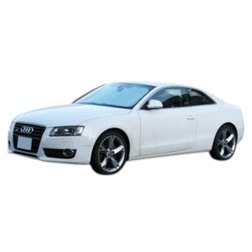 AUDI A5 (8T3)