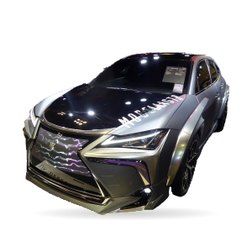 LEXUS IS C (GSE2_)