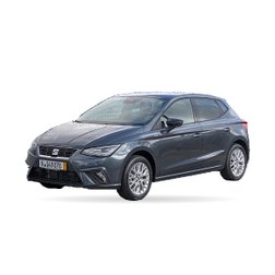 SEAT Ibiza 4 (6J5, 6P1)