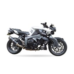 BMW K 1300 R (K43)
