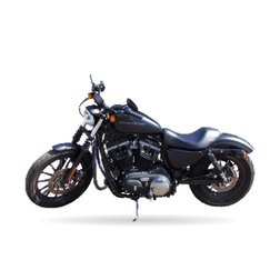 HARLEY DAVIDSON XL 883 N (XL2)