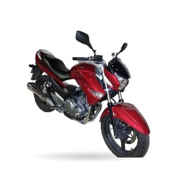 SUZUKI Inazuma 250 (GW250)