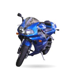 TRIUMPH Daytona 955 (T595 A502)
