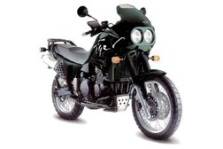 TRIUMPH Tiger 900