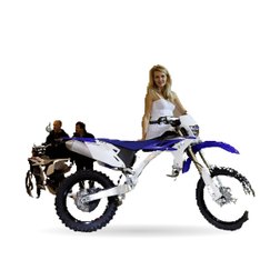 YAMAHA WR 450 F (CJ04W)