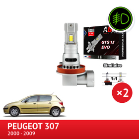 Κιτ LED εμπρός φώτων ομίχλης PEUGEOT 307 - AGM Vision