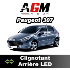 PACK LED Clignotant arrière Peugeot 307 de 2000 à 2009 - AGM Vision