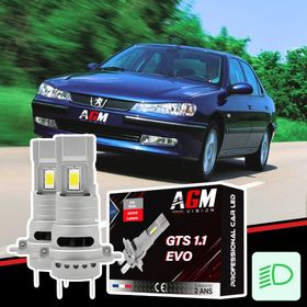 Zestaw LED świateł mijania Peugeot 406 - AGM Vision