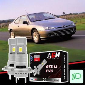Zestaw LED świateł mijania Peugeot 406 Coupé - AGM Vision