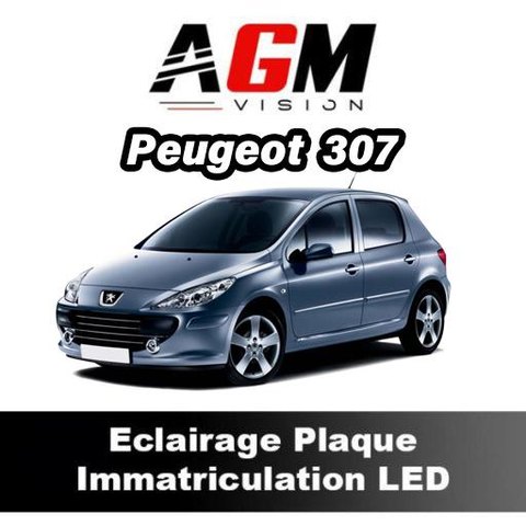 PACK LED Éclairage Plaque d'Immatriculation Peugeot 307 de 2000 à 2009