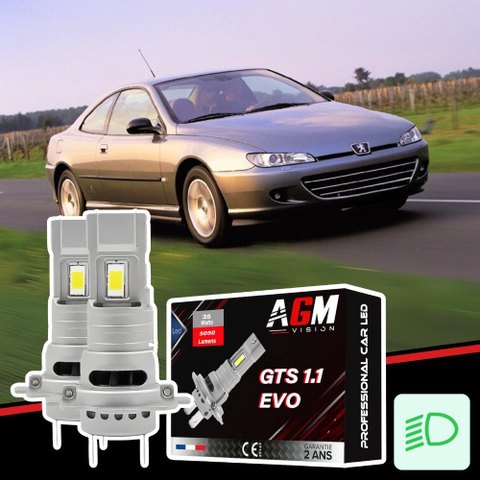 Zestaw LED świateł mijania Peugeot 406 Coupé