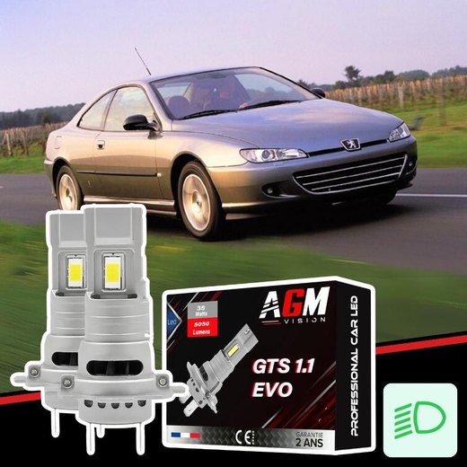 Zestaw LED świateł mijania Peugeot 406 coupé