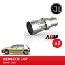 LED Pack Reverse Lights Peugeot 307 from 2000 to 2009