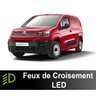 Pachet lumini de întâlnire LED Citroën Berlingo 3 2018 à 2024