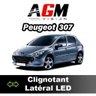 LED Side Indicator PACK Peugeot 307 from 2000 to 2009