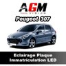 LED PACK License Plate Lighting Peugeot 307 from 2000 to 2009