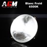 Kit Ampoules LED R2 P45T GT - BLANC 6500K
