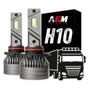 H10