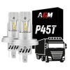 LED truck bulb R2 P45T 24V – European code