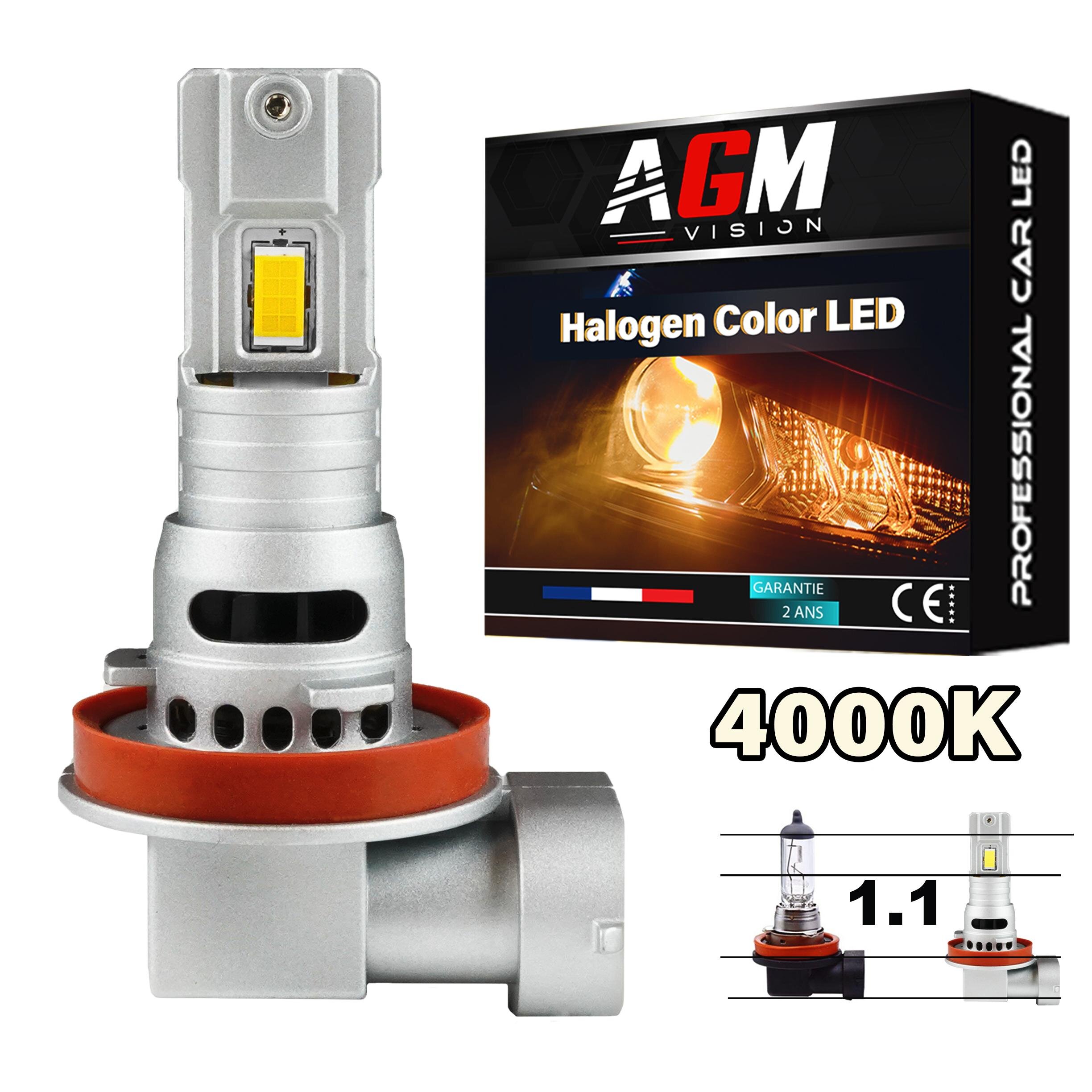 LED電球 H8 VINTAGE GTS ハロゲンカラー 4000K